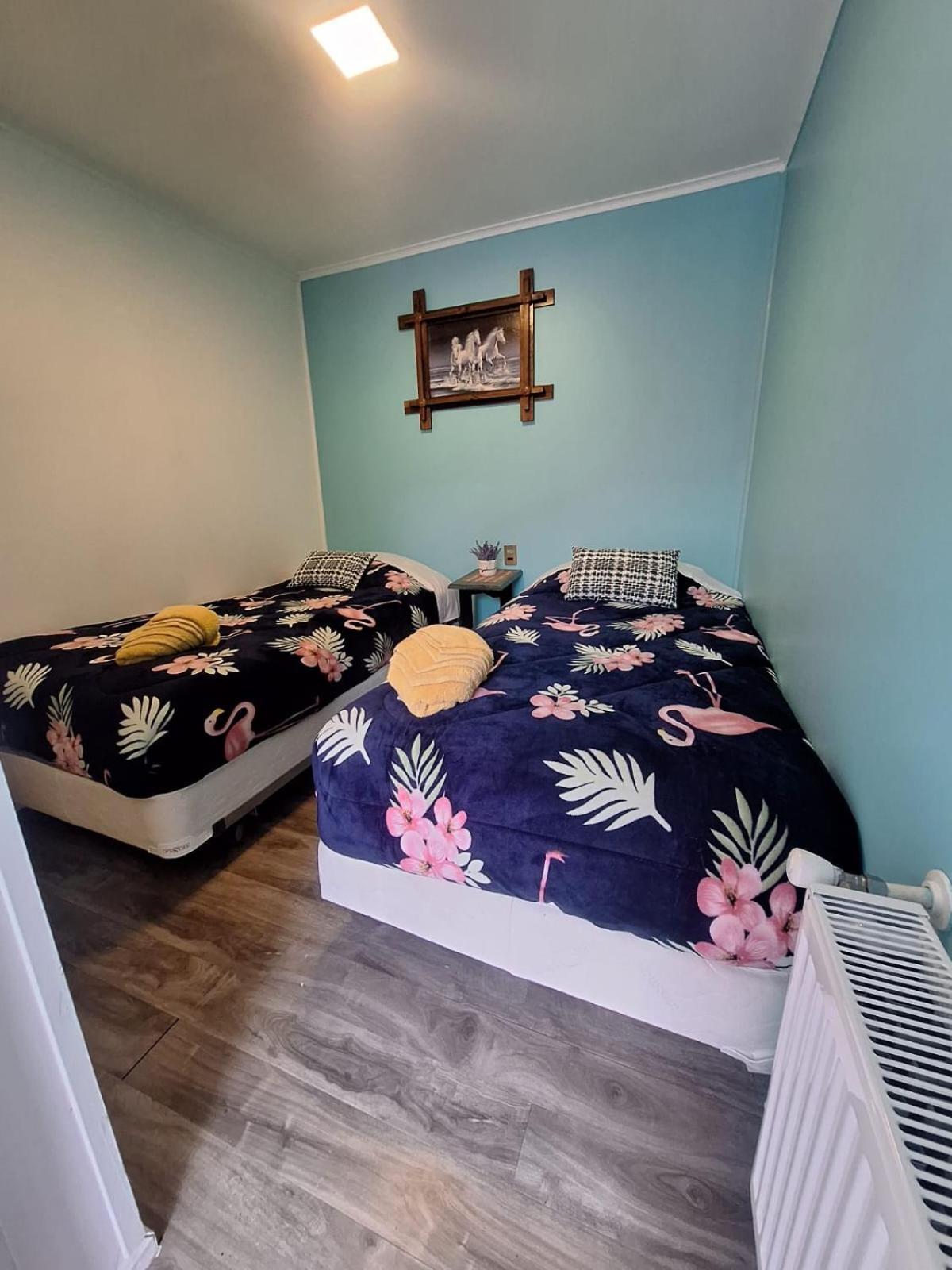 Hostel Kuntur 纳塔列斯港 外观 照片